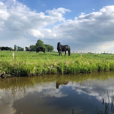 Vakantiehuis In Friesland Voor De Hele Familie Huns Luaran gambar