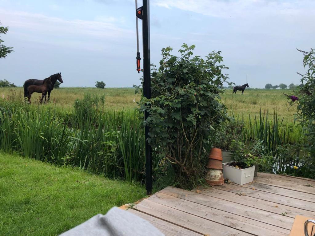 Vakantiehuis In Friesland Voor De Hele Familie Huns Luaran gambar