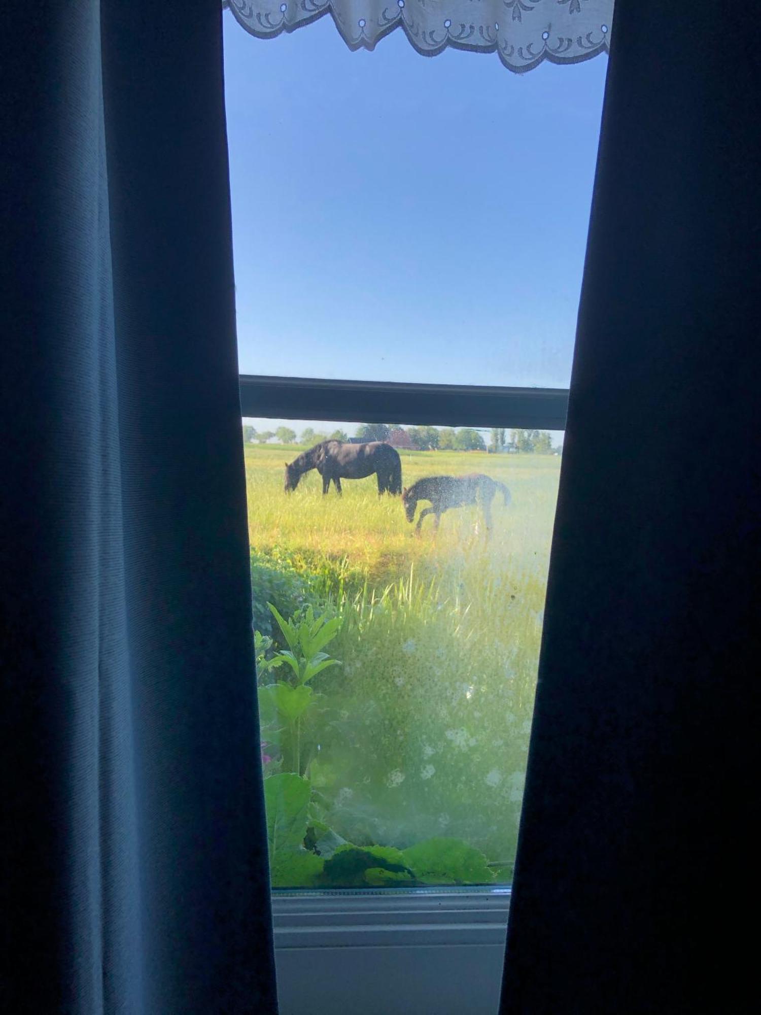 Vakantiehuis In Friesland Voor De Hele Familie Huns Luaran gambar